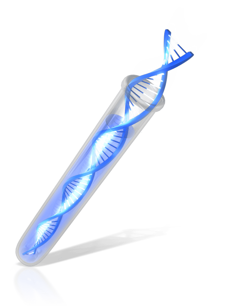 genetica, genetista, asesoramiento genetico, DNA